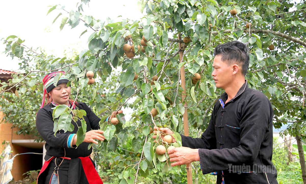 Fostering Self-Reliance for Sustainable Development in Ethnic Minority Areas