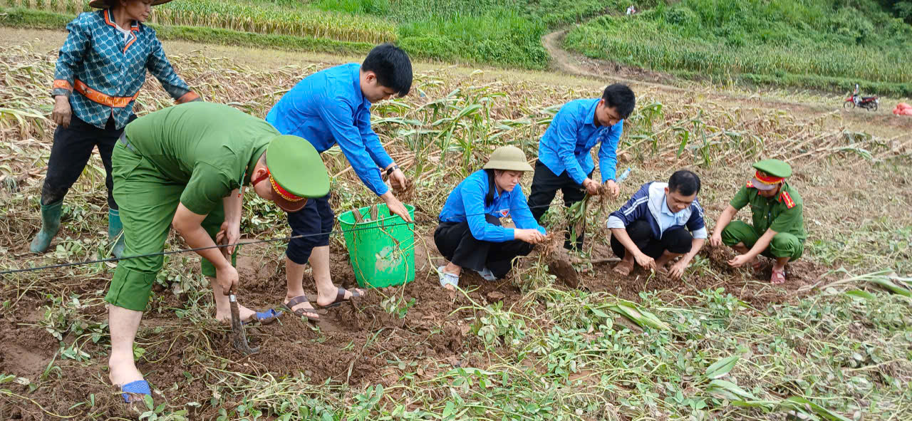 TUỔI TRẺ CÔNG AN XÃ MINH SƠN CHUNG TAY HỖ TRỢ NHÂN DÂN KHẮC PHỤC HẬU QUẢ THIÊN TAI