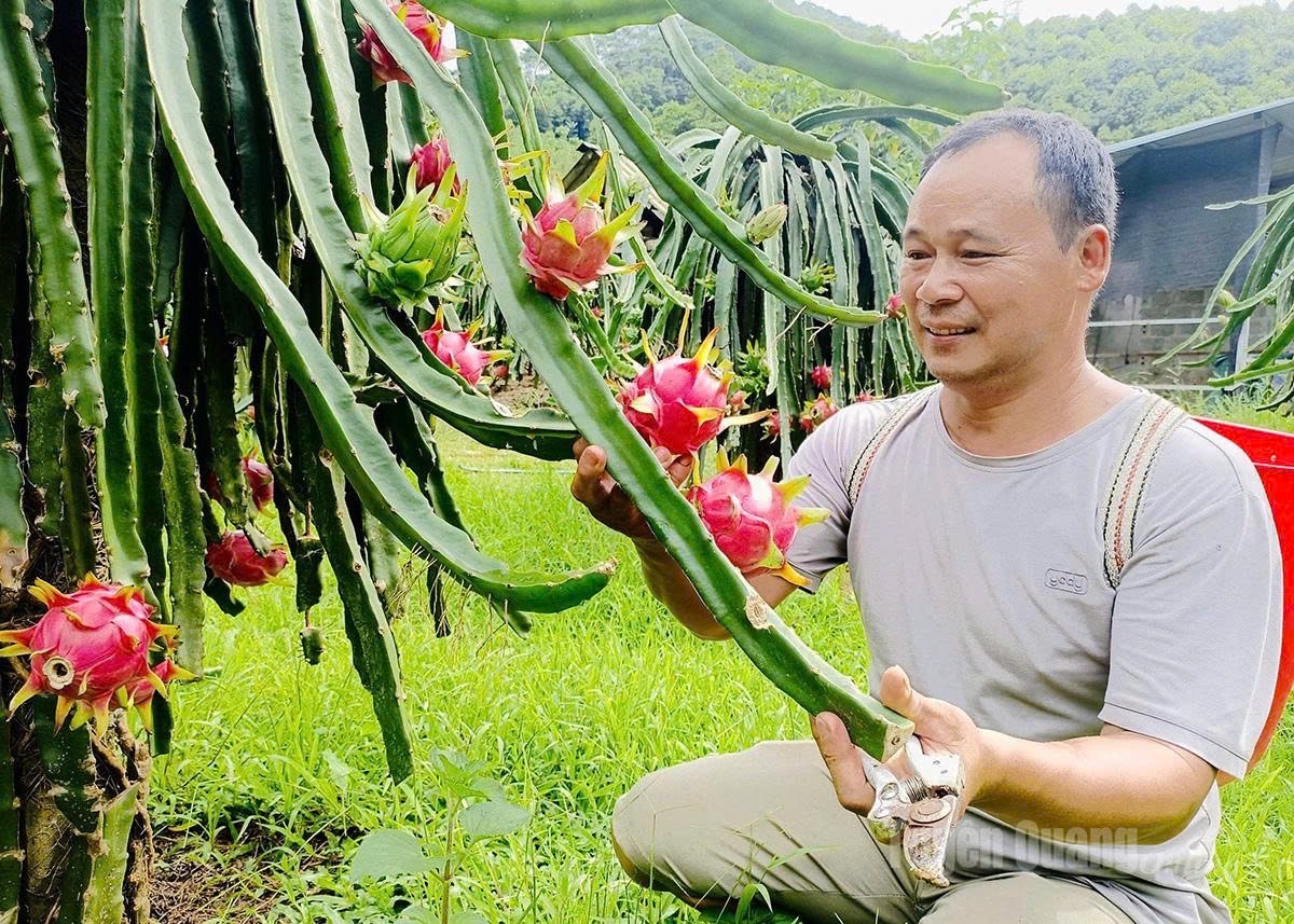 chuyển đổi 5.jpg