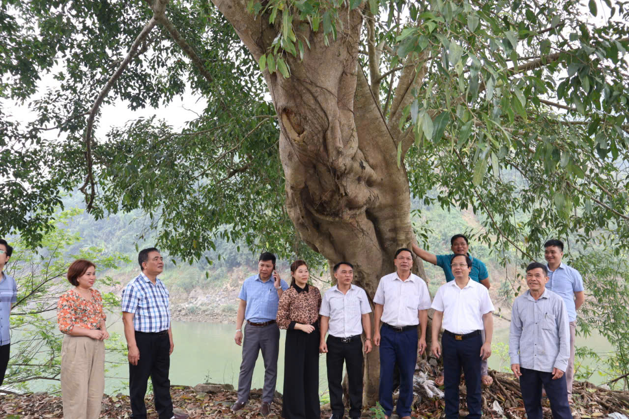 Kh sát tại V lậu c đa.jpg