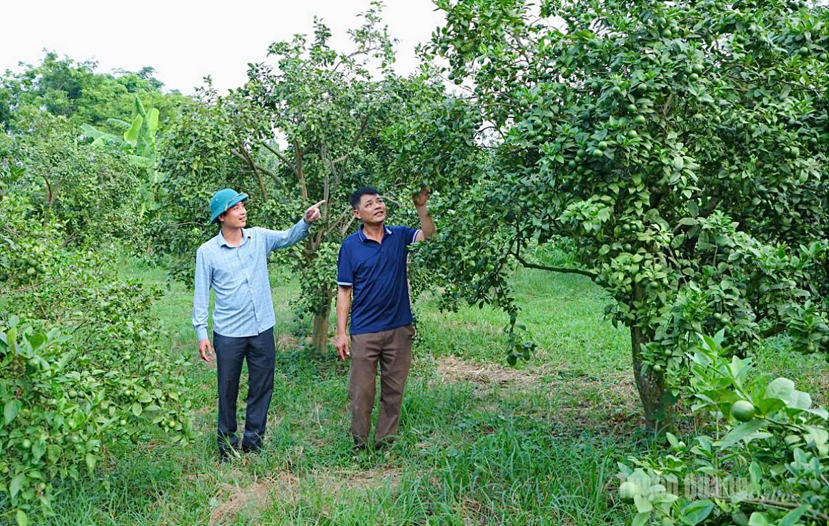 XÃ PHÚ LƯƠNG QUYẾT TÂM GIẢM NGHÈO BỀN VỮNG THEO PHƯƠNG CHÂM “RÕ HỘ, RÕ NGUYÊN NHÂN, RÕ GIẢI PHÁP”