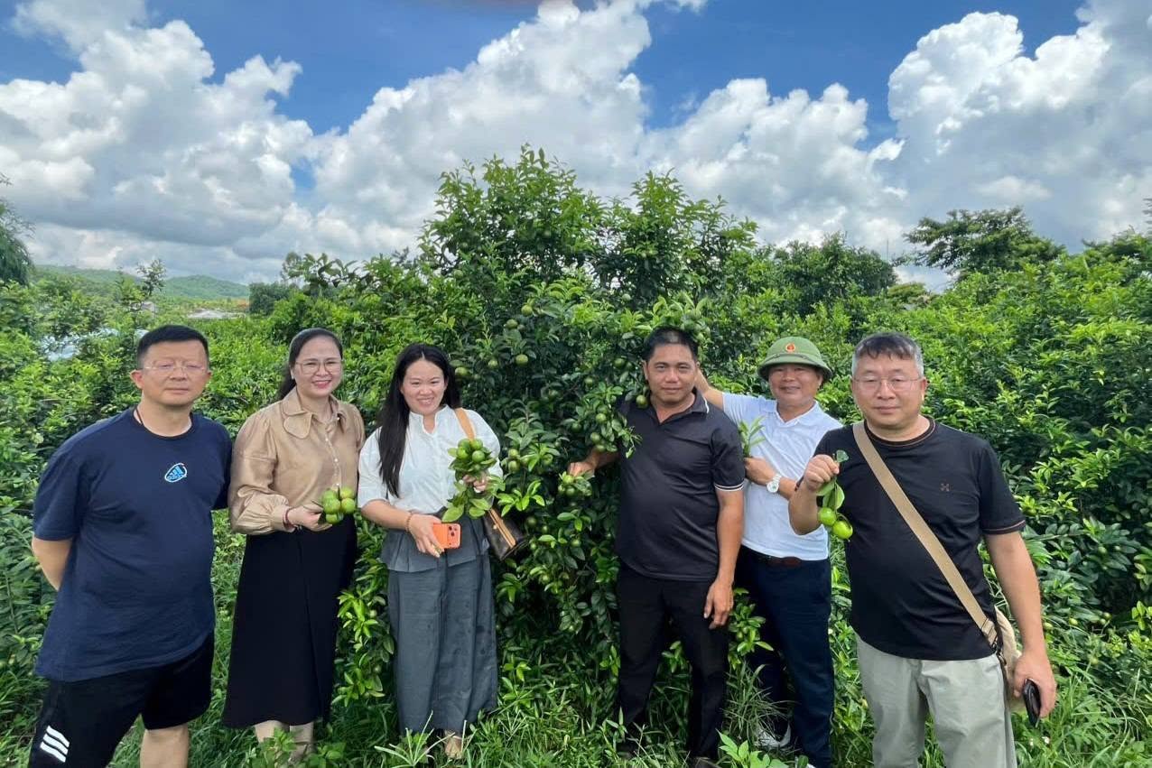 Kết nối thực chất - Mở rộng cơ hội tiêu thụ nông sản Tuyên Quang với thị trường Trung Quốc