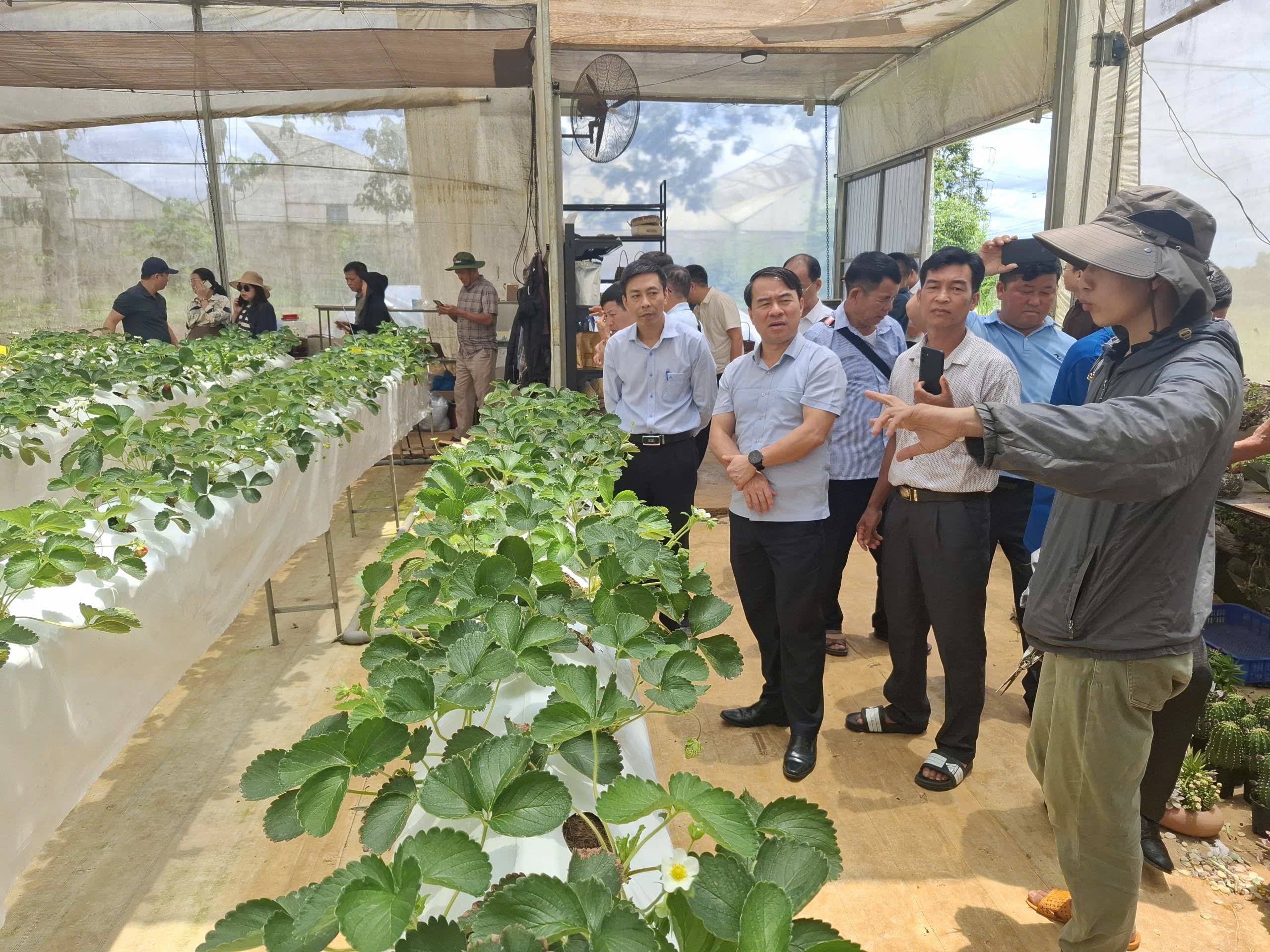 Đoàn đại biểu người có uy tín trong đồng bào dân tộc thiểu số đi học tập kinh nghiệm tại các tỉnh Nam Trung bộ