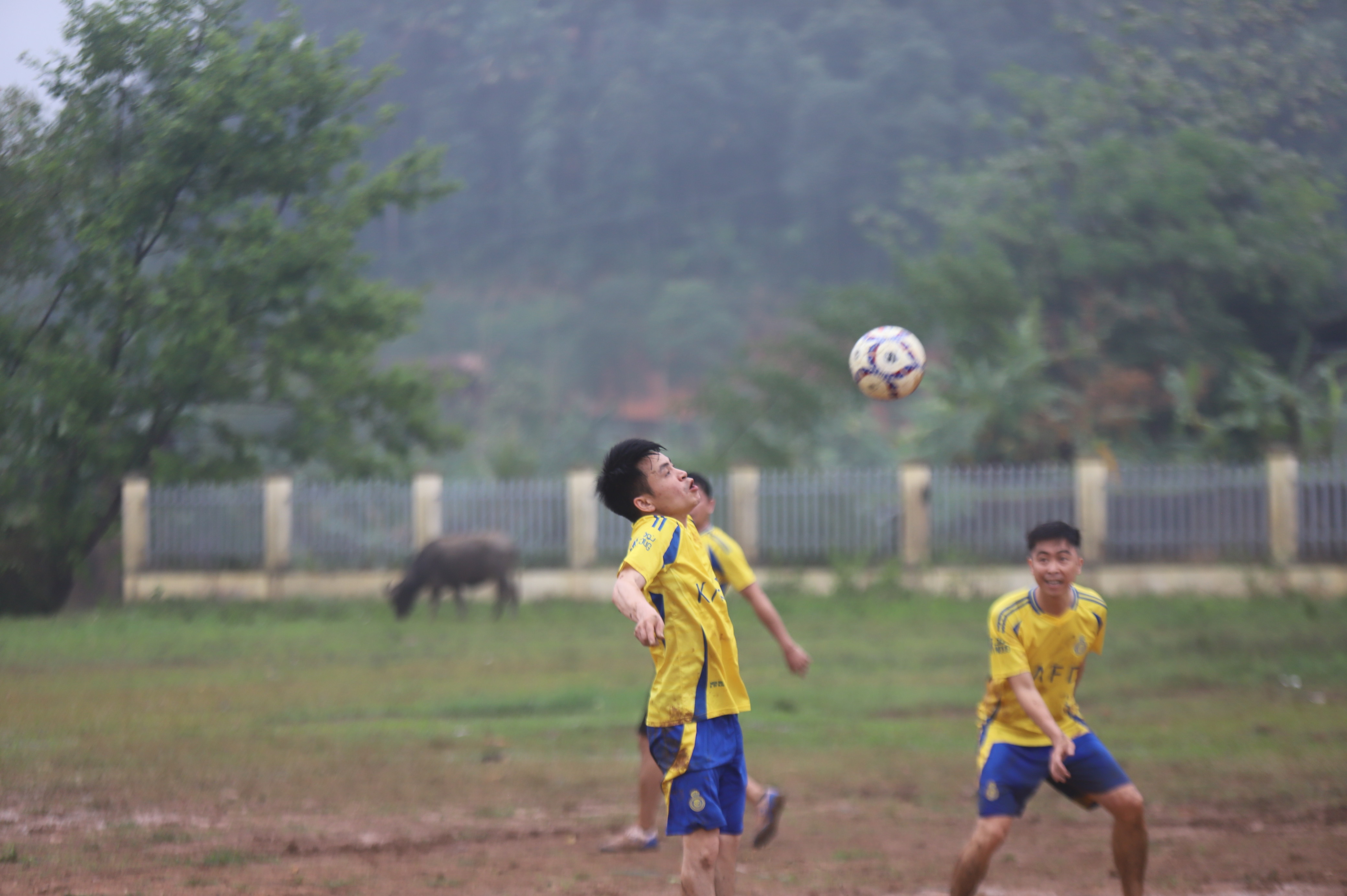 IMG_4873.JPG