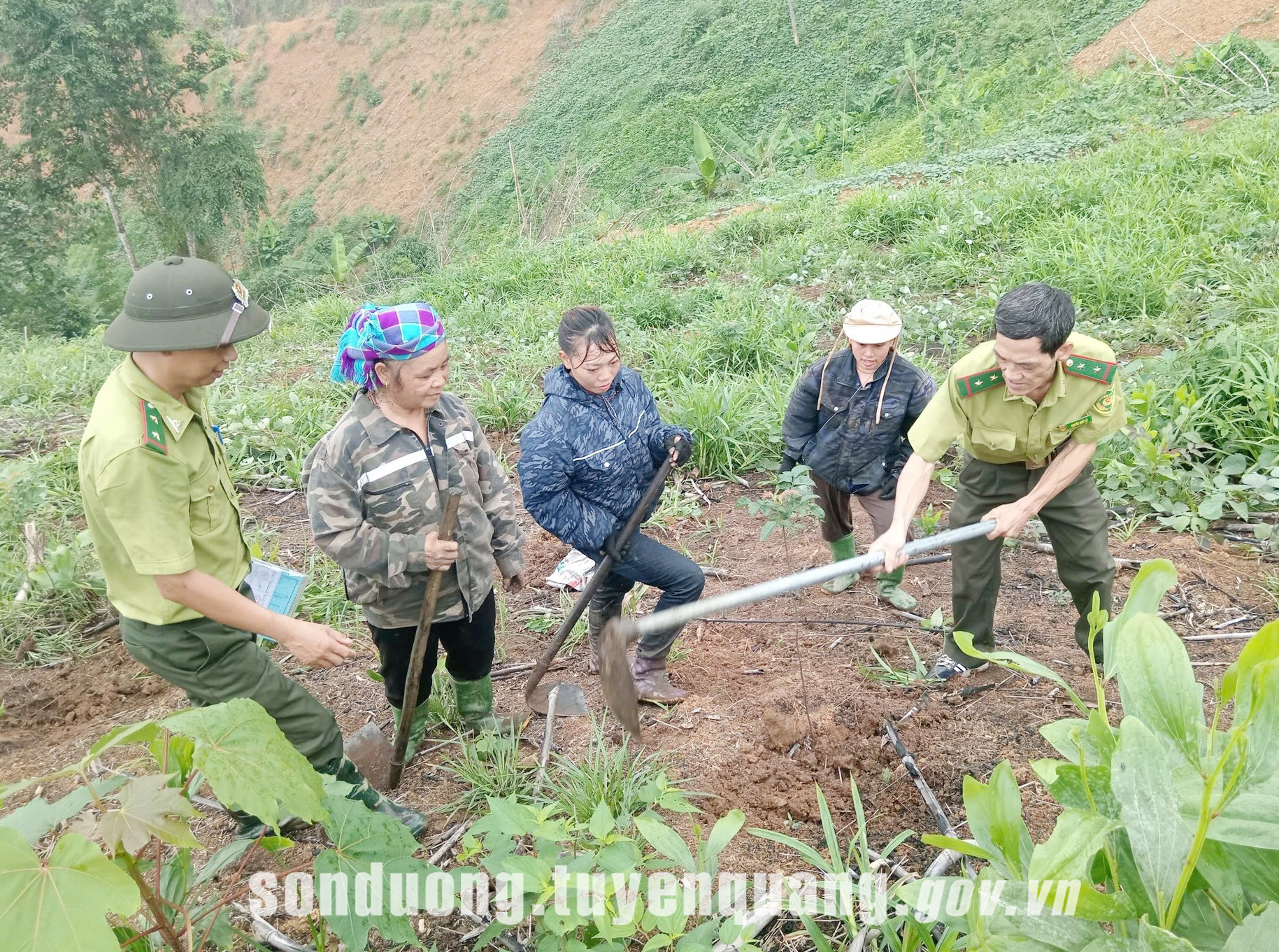 Hạt Kiểm lâm khu vực I hướng dẫn trồng 5ha rừng thay thế