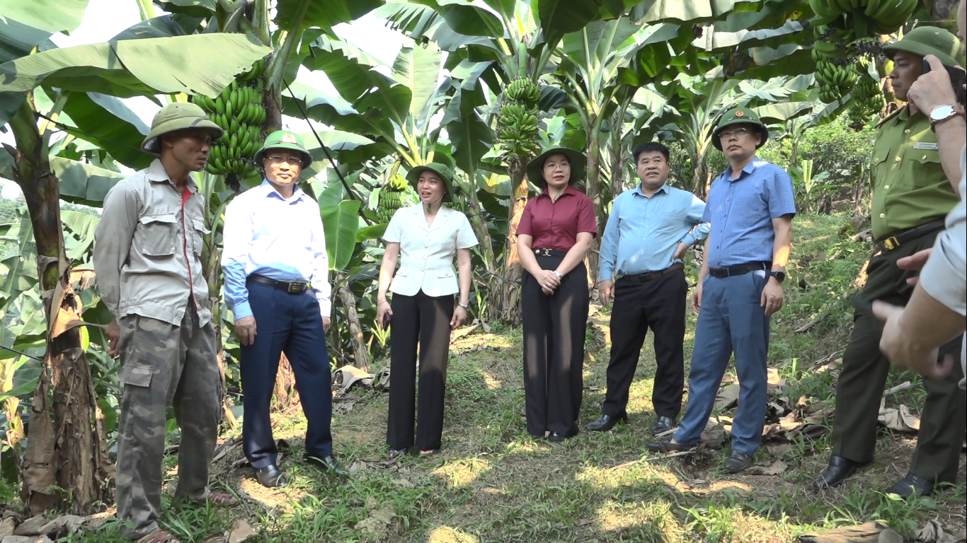 Đoàn công tác của Sở Nông nghiệp và Môi trường làm việc với xã Hùng An