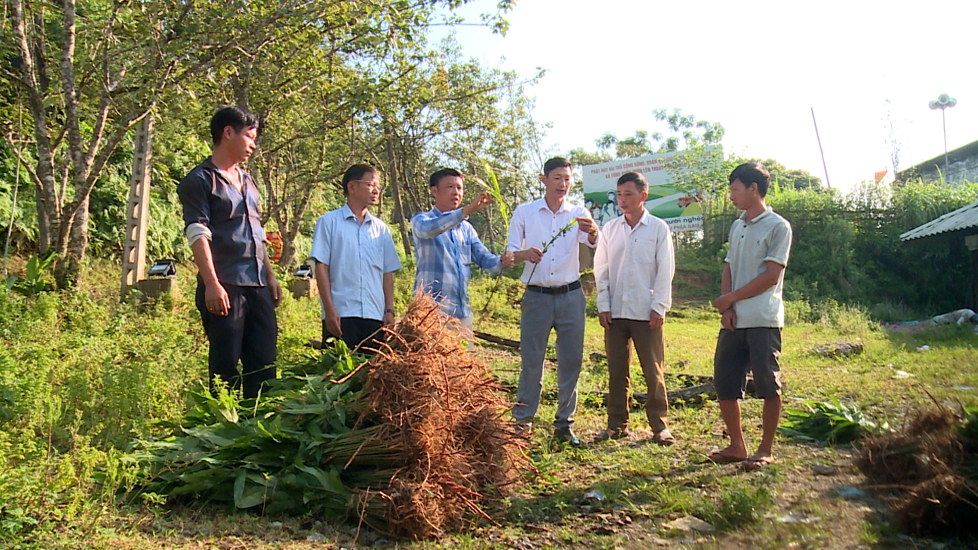 Xã Yên Hoa triển khai Dự án trồng cây Sa nhân tím