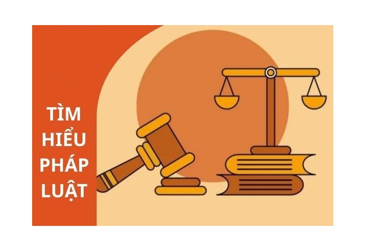 Tìm hiểu pháp luật về ban hành văn bản quy phạm pháp luật về rà soát, hệ thống hoá văn bản quy phạm pháp luật.