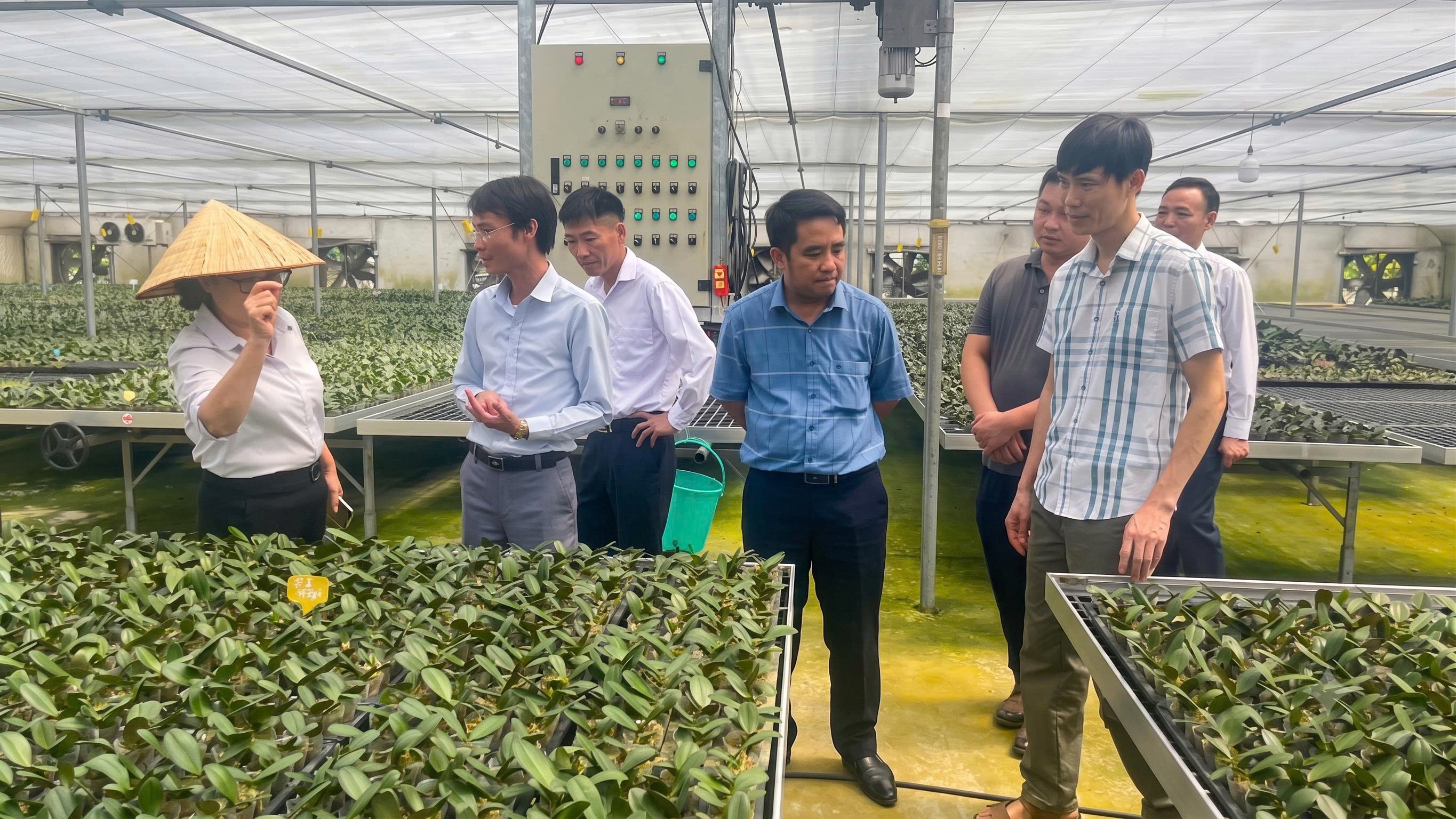 ĐOÀN CÔNG TÁC XÃ XÍN MẦN THĂM VÀ LÀM VIỆC TẠI VIỆN RAU QUẢ - HỌC VIỆN NÔNG NGHIỆP VIỆT NAM