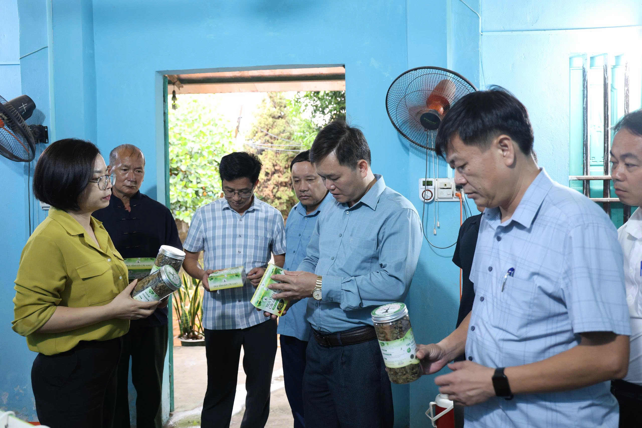 MINH TÂN HỌC TẬP KINH NGHIỆM MÔ HÌNH TRỒNG CÂY TẦM GỬI GẠO