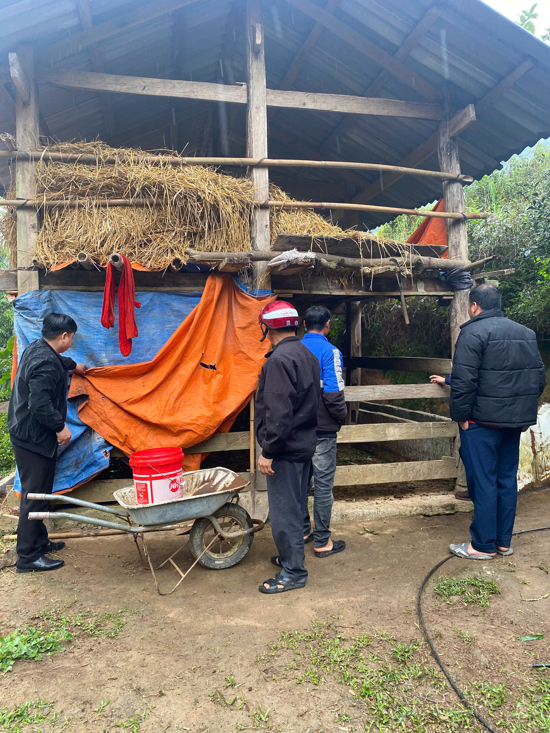 Lãnh đạo Trạm Thú y khu vực 5 kiểm tra công tác phòng, chống đói rét cho đàn vật nuôi tại xã Tiên Nguyên