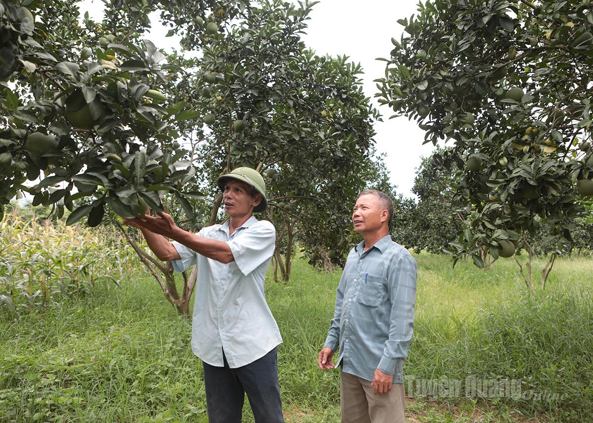 Sơn Thủy đẩy mạnh truyền thông để “giảm nghèo thông tin”