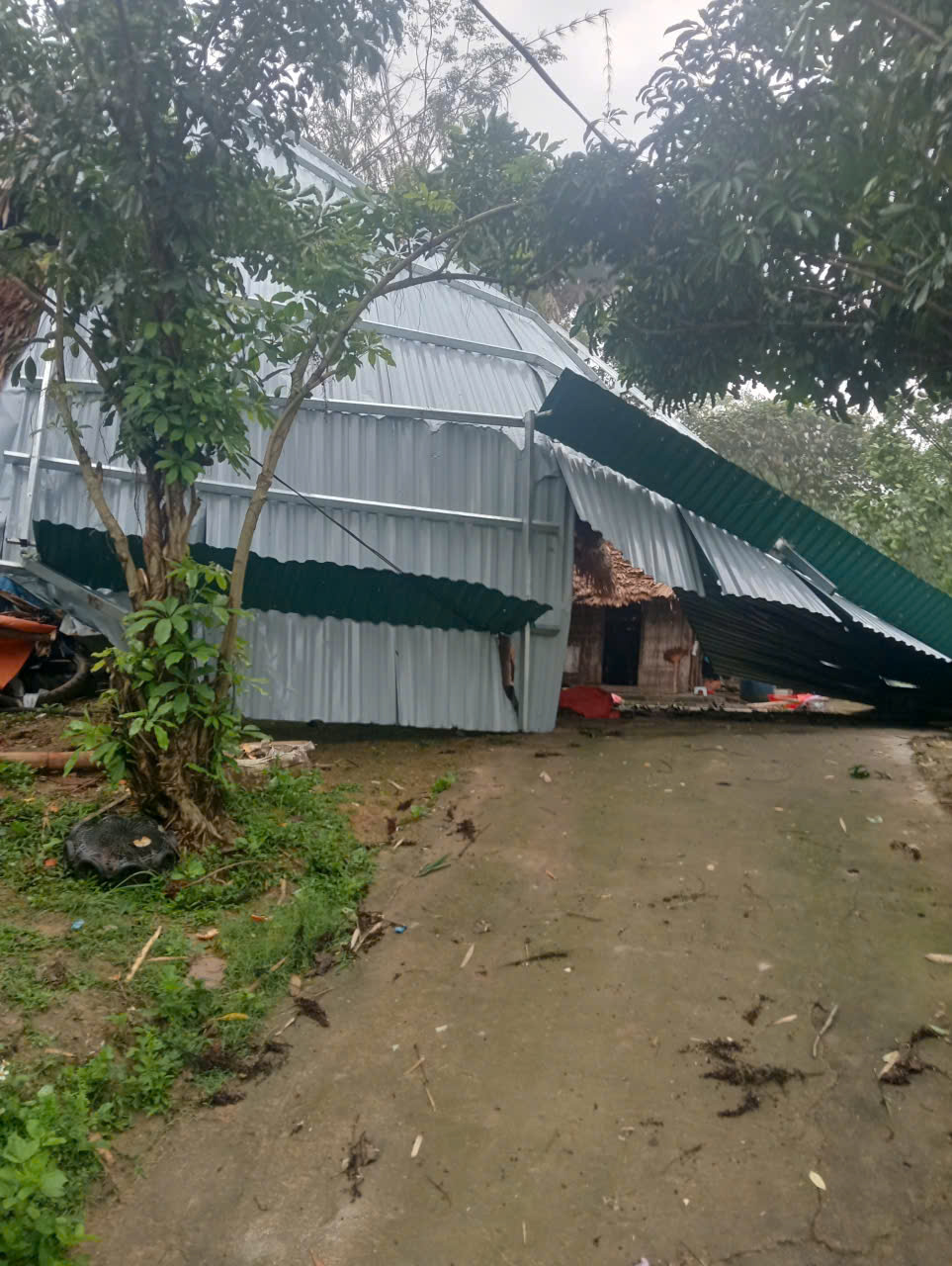 bay m&aacute;i t&ocirc;n.jpg