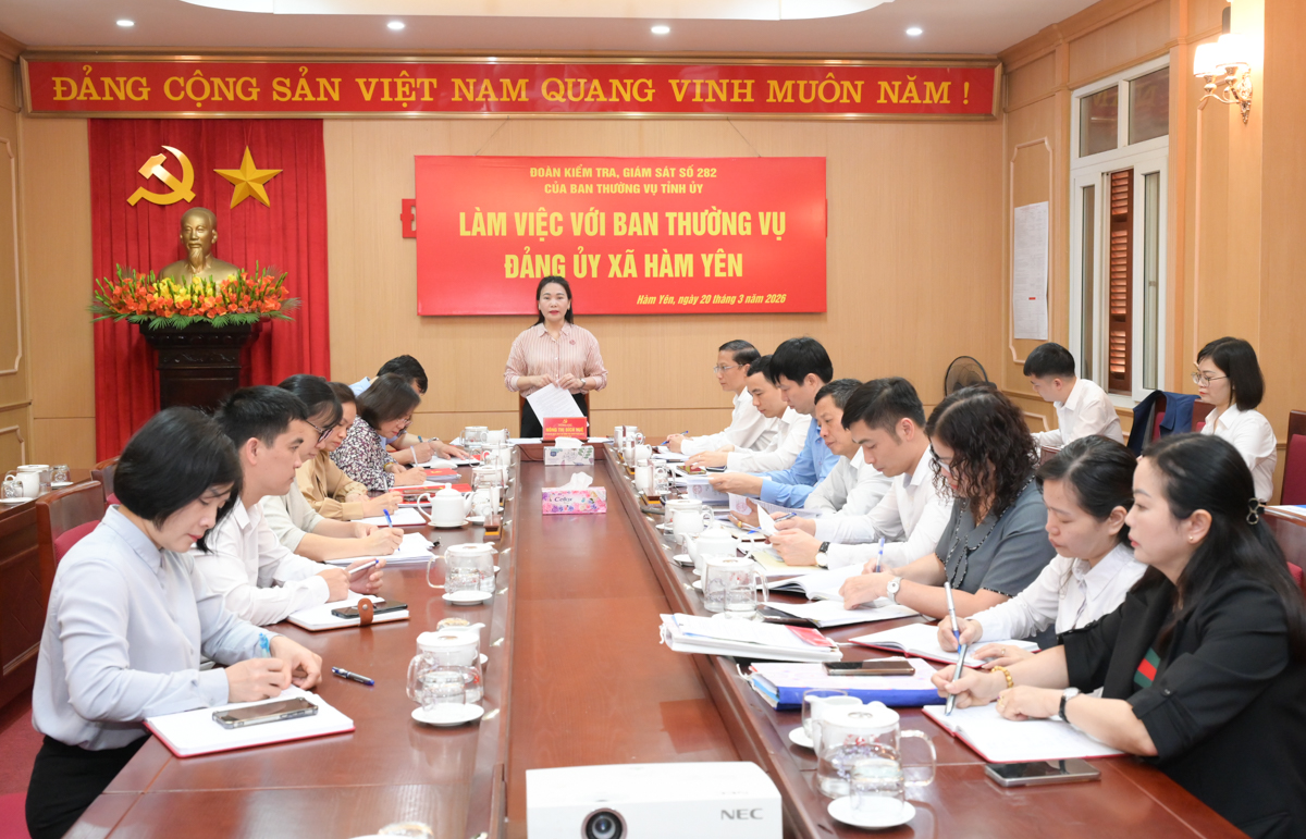 Đoàn kiểm tra, giám sát số 282 làm việc tại xã Hàm Yên