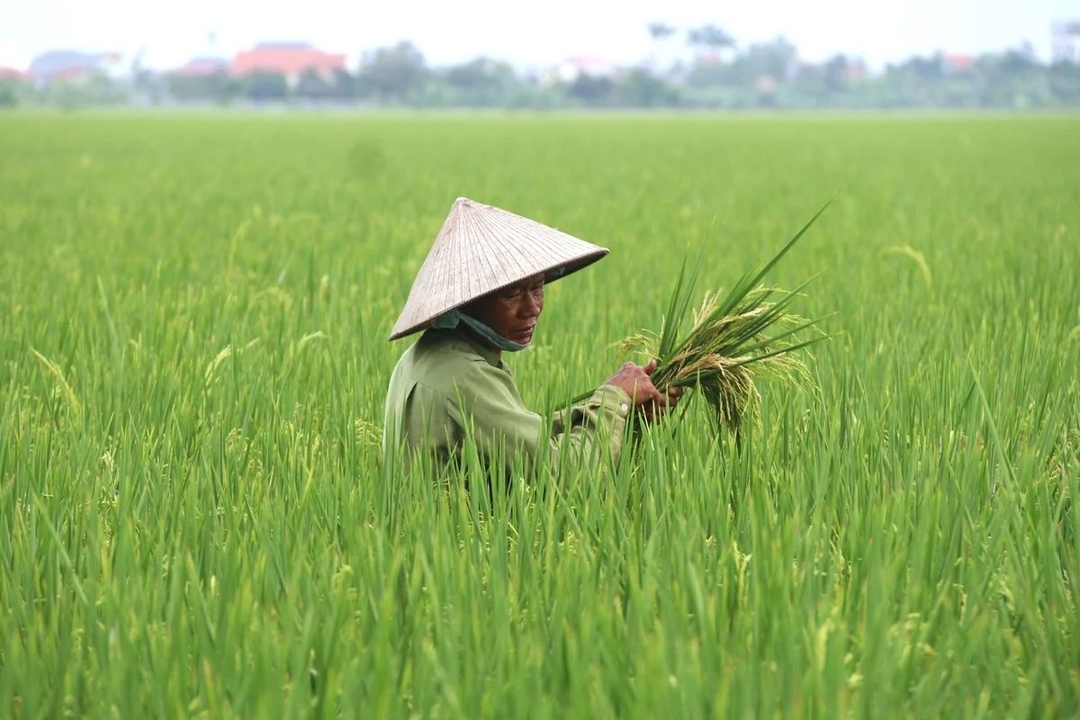 'Tiếp sức' nông dân tiếp cận công cụ tài chính ứng phó khí hậu