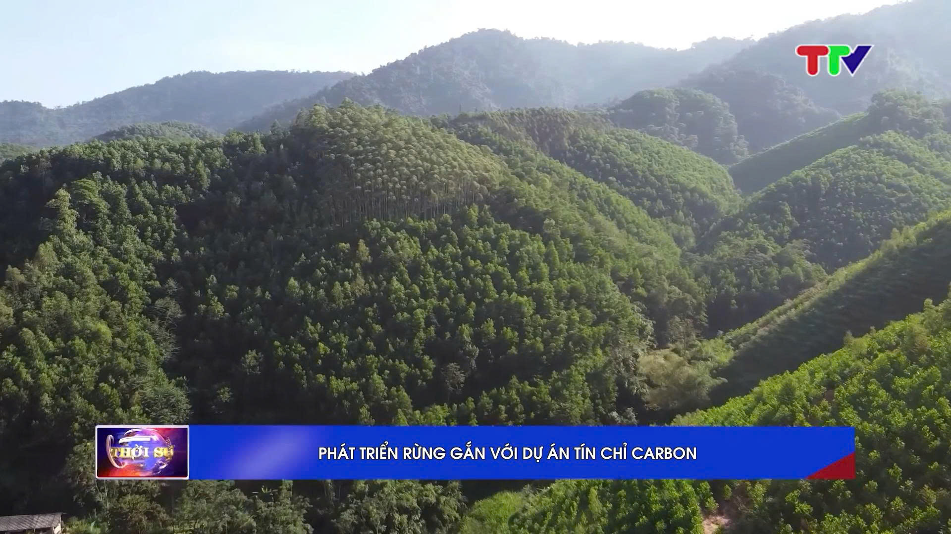 PHÁT TRIỂN RỪNG GẮN VỚI DỰ ÁN TÍN CHỈ CARBON