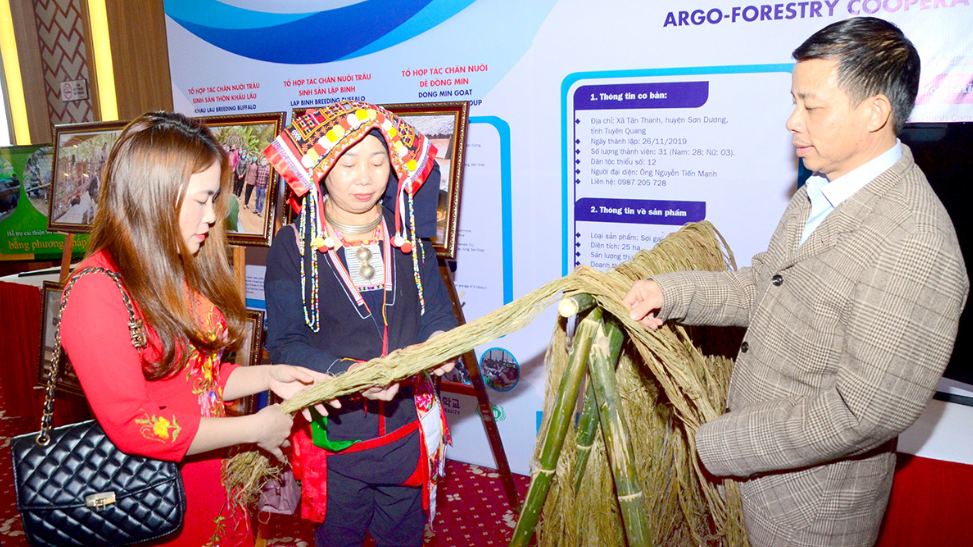 Tăng cường thu hút và quản lý hiệu quả lao động nước ngoài