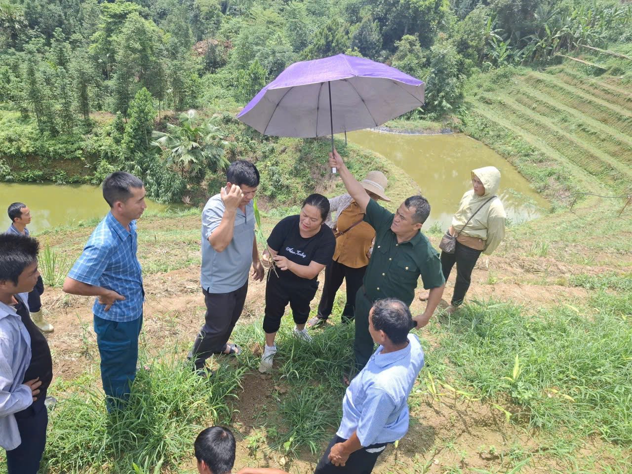 BẾ GIẢNG LỚP TẬP HUẤN CÔNG TÁC GIẢM NGHÈO NĂM 2026 VÀ THAM QUAN MÔ HÌNH PHÁT TRIỂN KINH TẾ