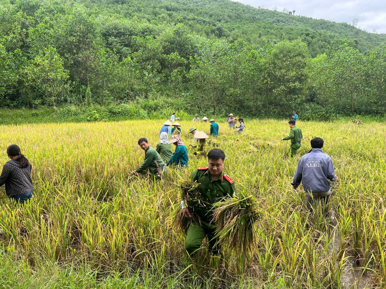 NGƯỜI CON CỦA BẢN LÀNG