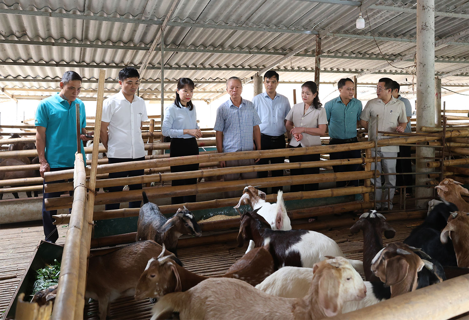 Tuyên Quang: Khơi dậy nội lực, kiến tạo diện mạo mới ở Yên Sơn