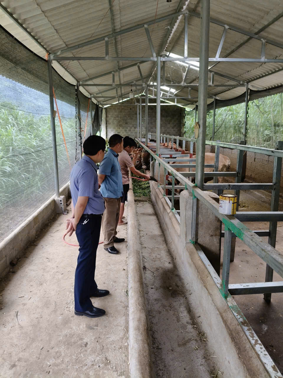 LÃNH ĐẠO XÃ THĂM QUAN MÔ HÌNH PHÁT TRIỂN KINH TẾ TẠI THÔN CHÚNG PẢ, XÃ ĐƯỜNG THƯỢNG