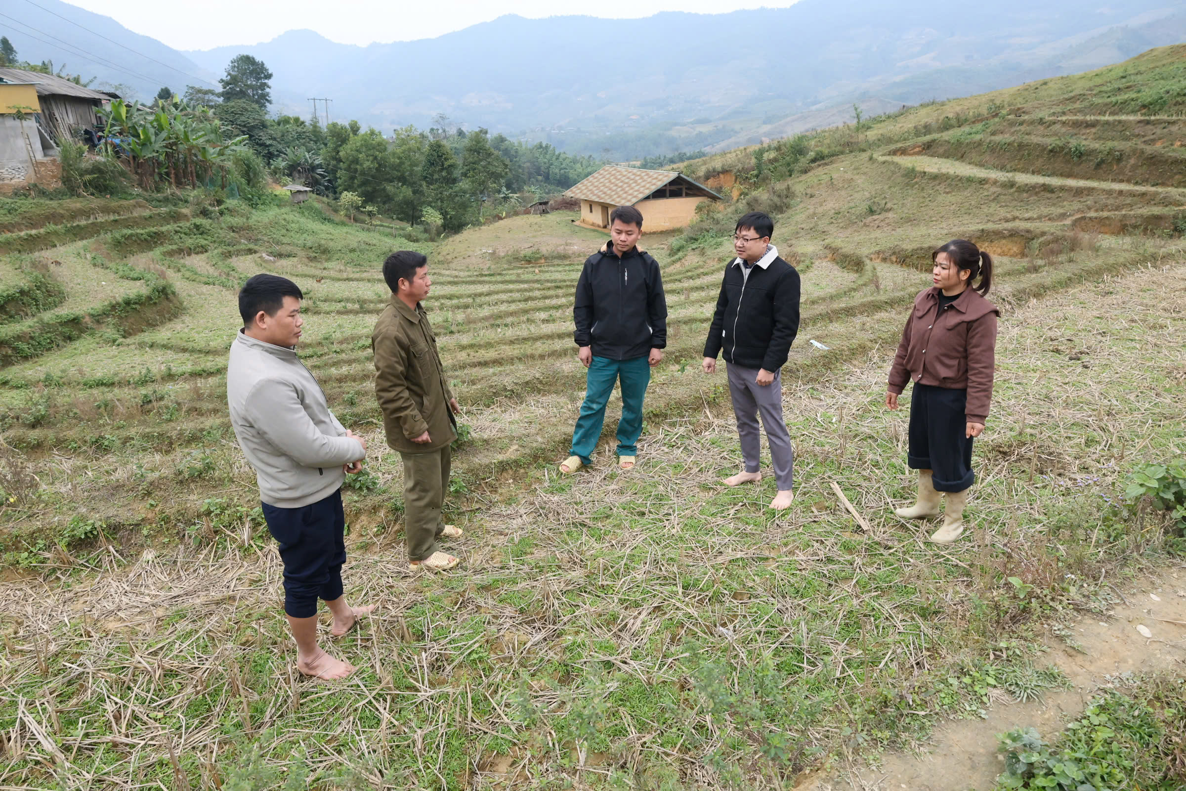 Lâm Bình triển khai mô hình trồng cây bí xanh thơm tại thôn Khuổi Trang và Khuổi Củng