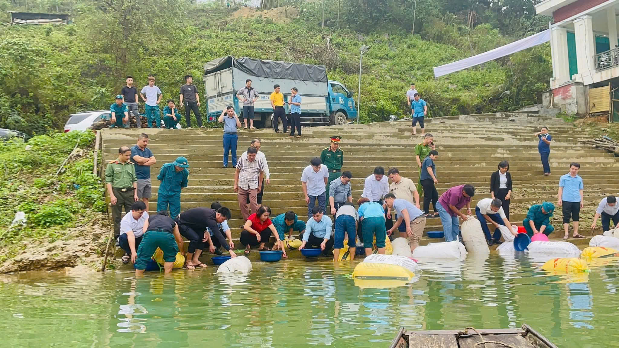 thả c&aacute; 4.jpg