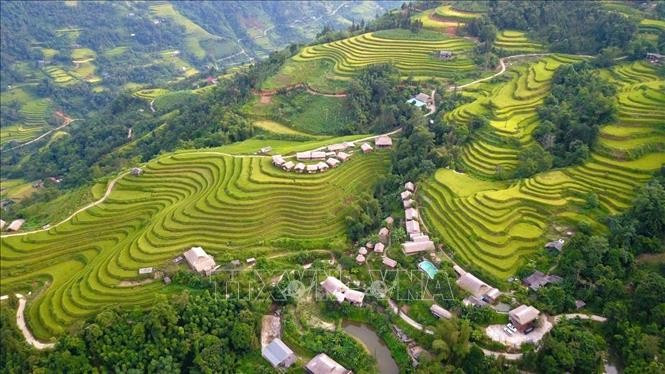 Mùa vàng Thông Nguyên - Bản giao hòa giữa sắc màu văn hóa và thiên nhiên