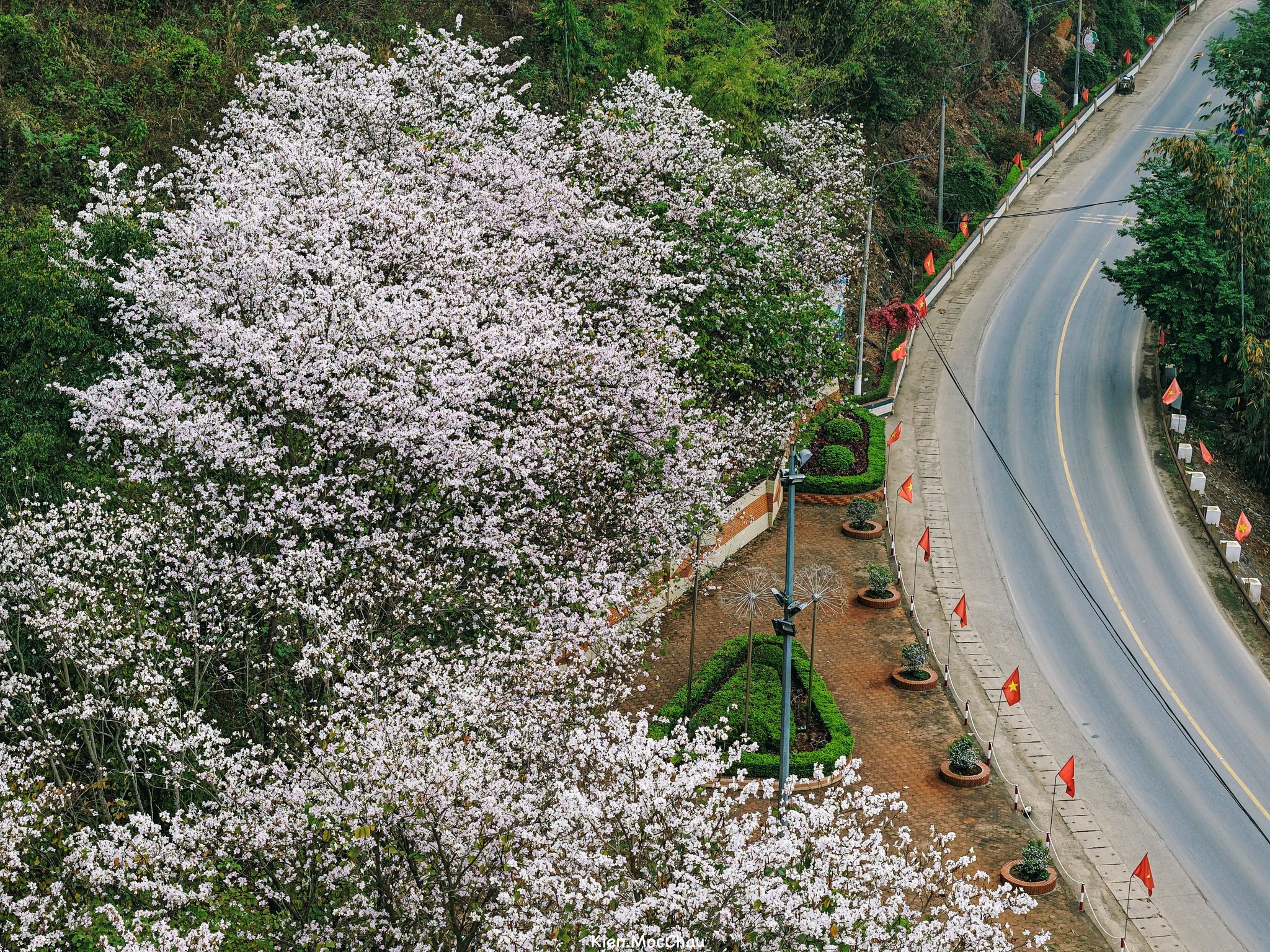Mùa hoa ban phủ trắng núi rừng Mộc Châu