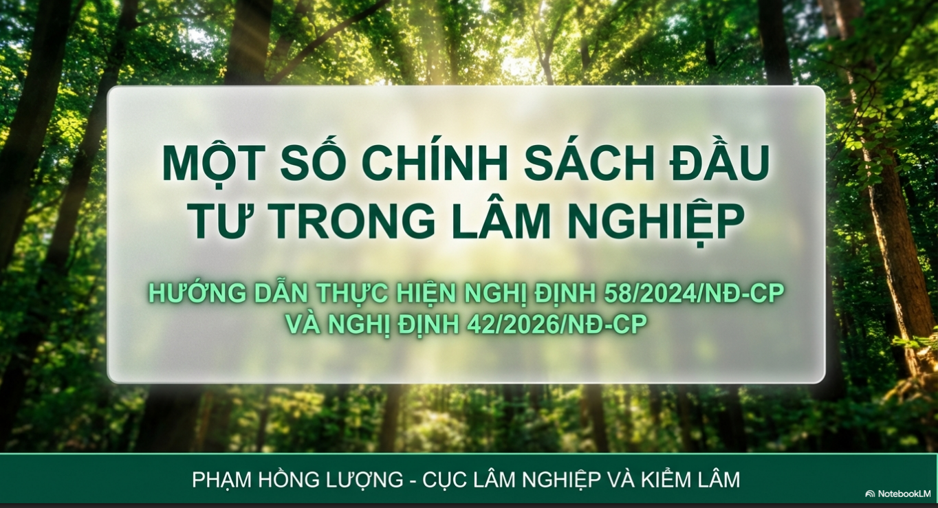 Một số chính sách đầu tư trong lâm nghiệp