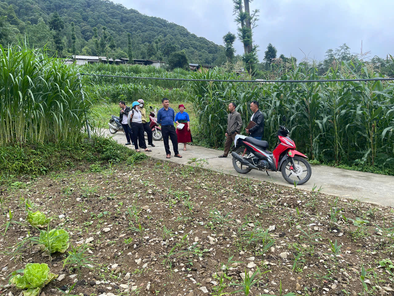 ngoài đường.jpg