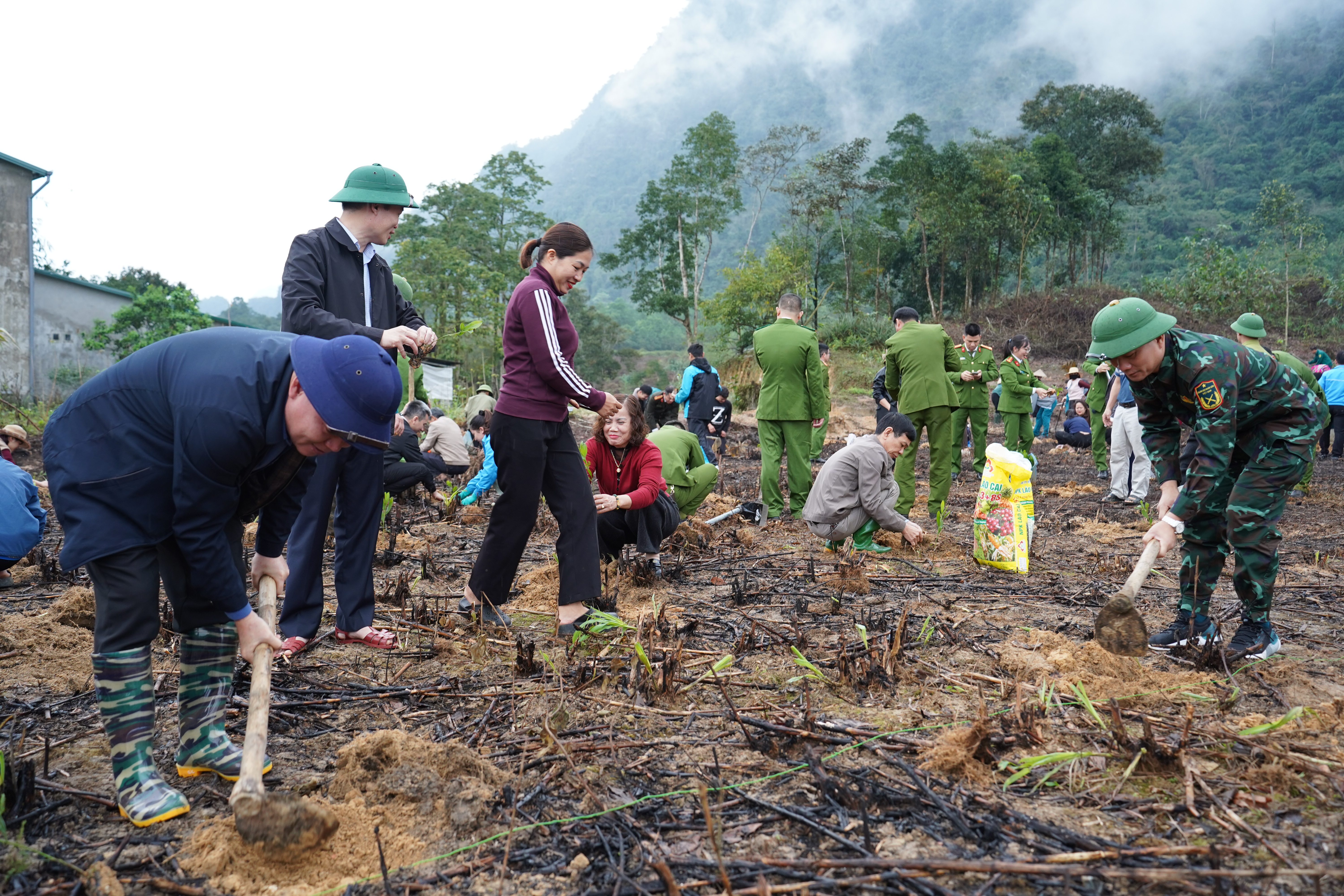 Trồng c&acirc;y 4.JPG