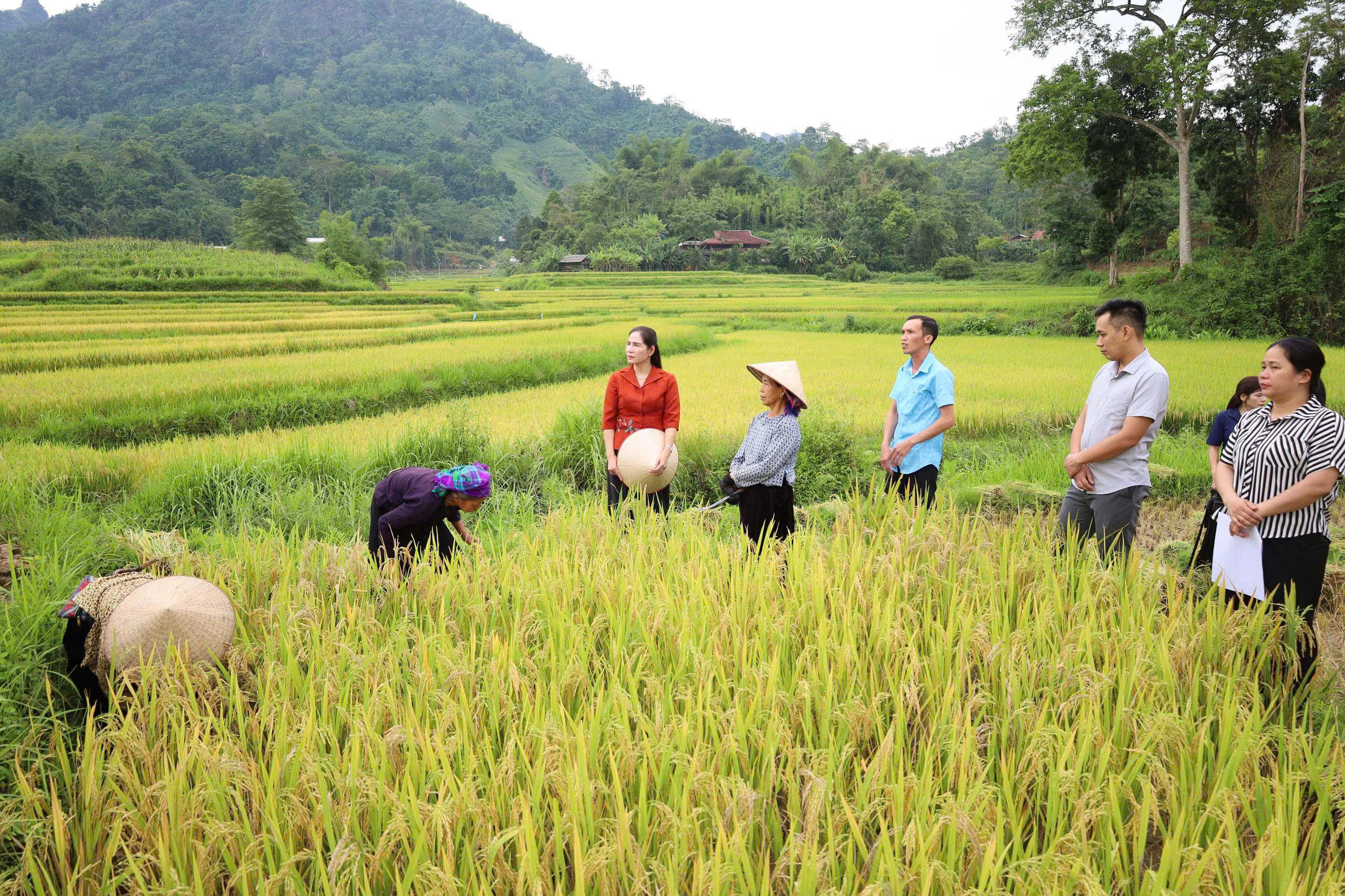 Đồng chí Bí thư Đảng ủy kiểm tra tại các thôn
