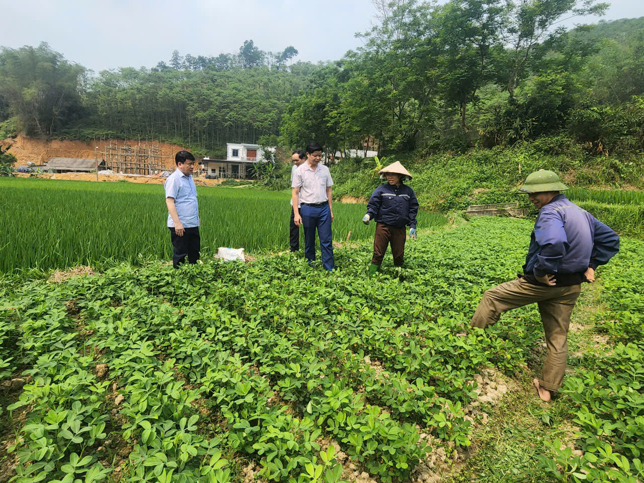 Đồng chí Bí thư Đảng ủy xã Yên Lập thăm, kiểm tra một số mô hình phát triển kinh tế trên địa bàn xã