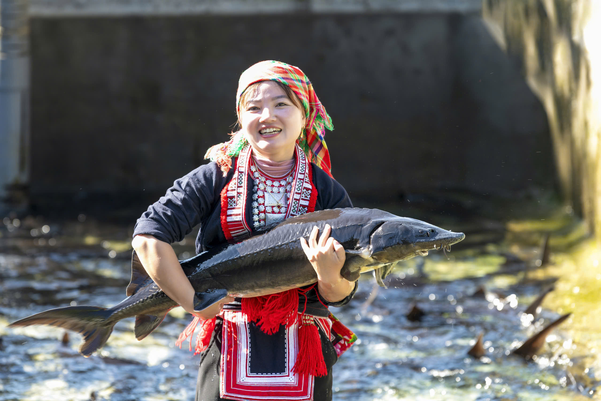 LÀNG NGHỀ NUÔI CÁ TẦM XÃ TÂN QUANG