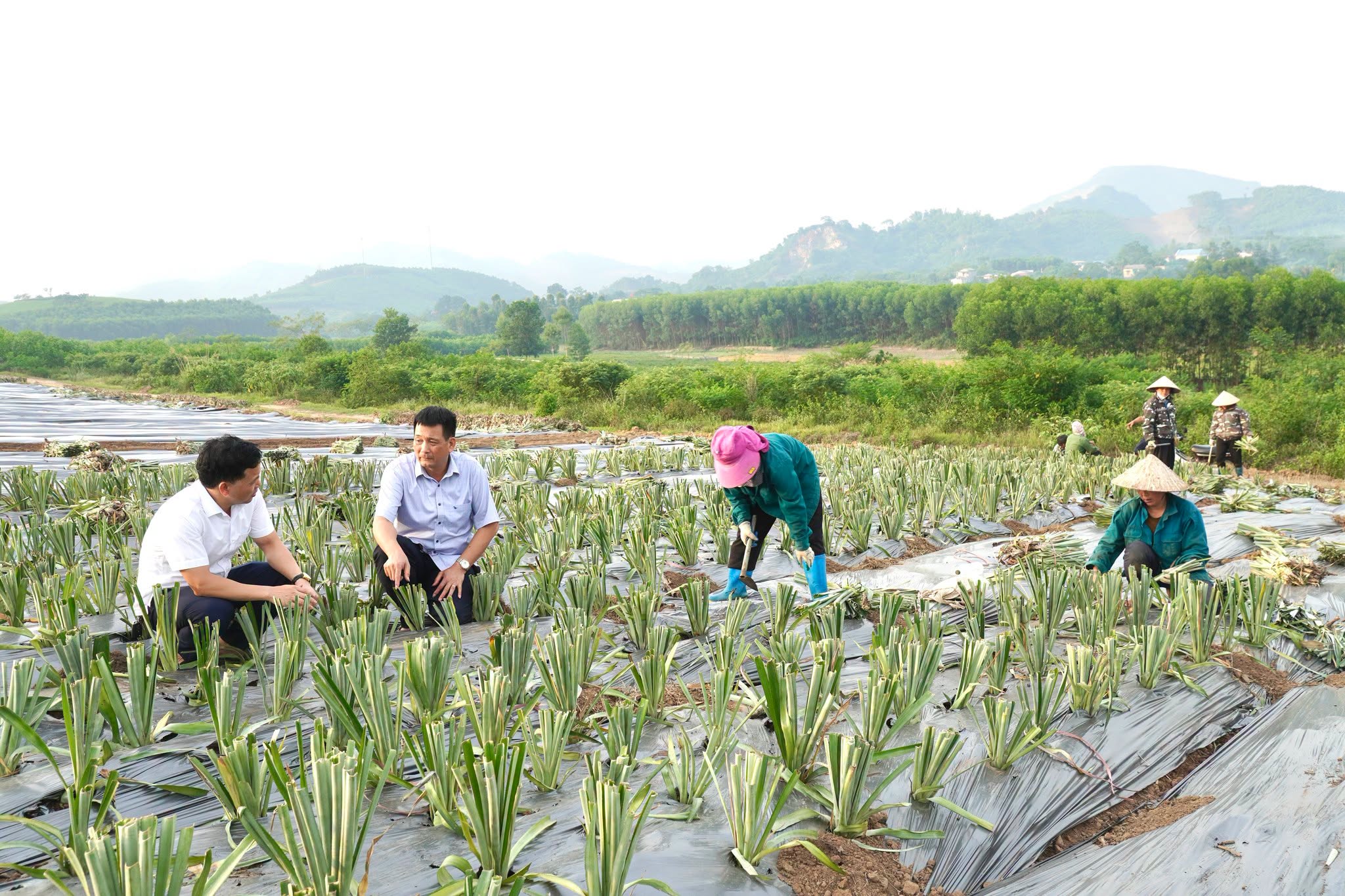 Gieo niềm tin trên những vùng đất chuyển đổi