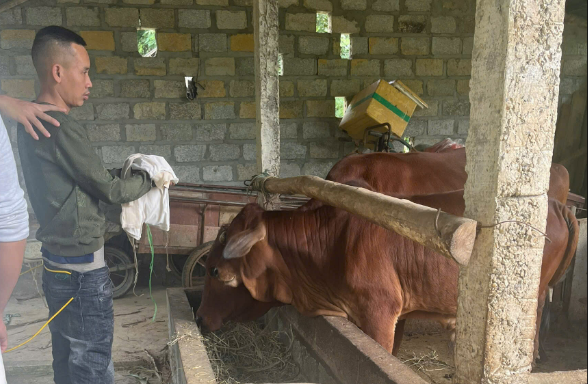 CÔNG AN XÃ NHỮ KHÊ LÀM RÕ VỤ TRỘM CẮP TÀI SẢN TẠI THÔN CỬA LẦN