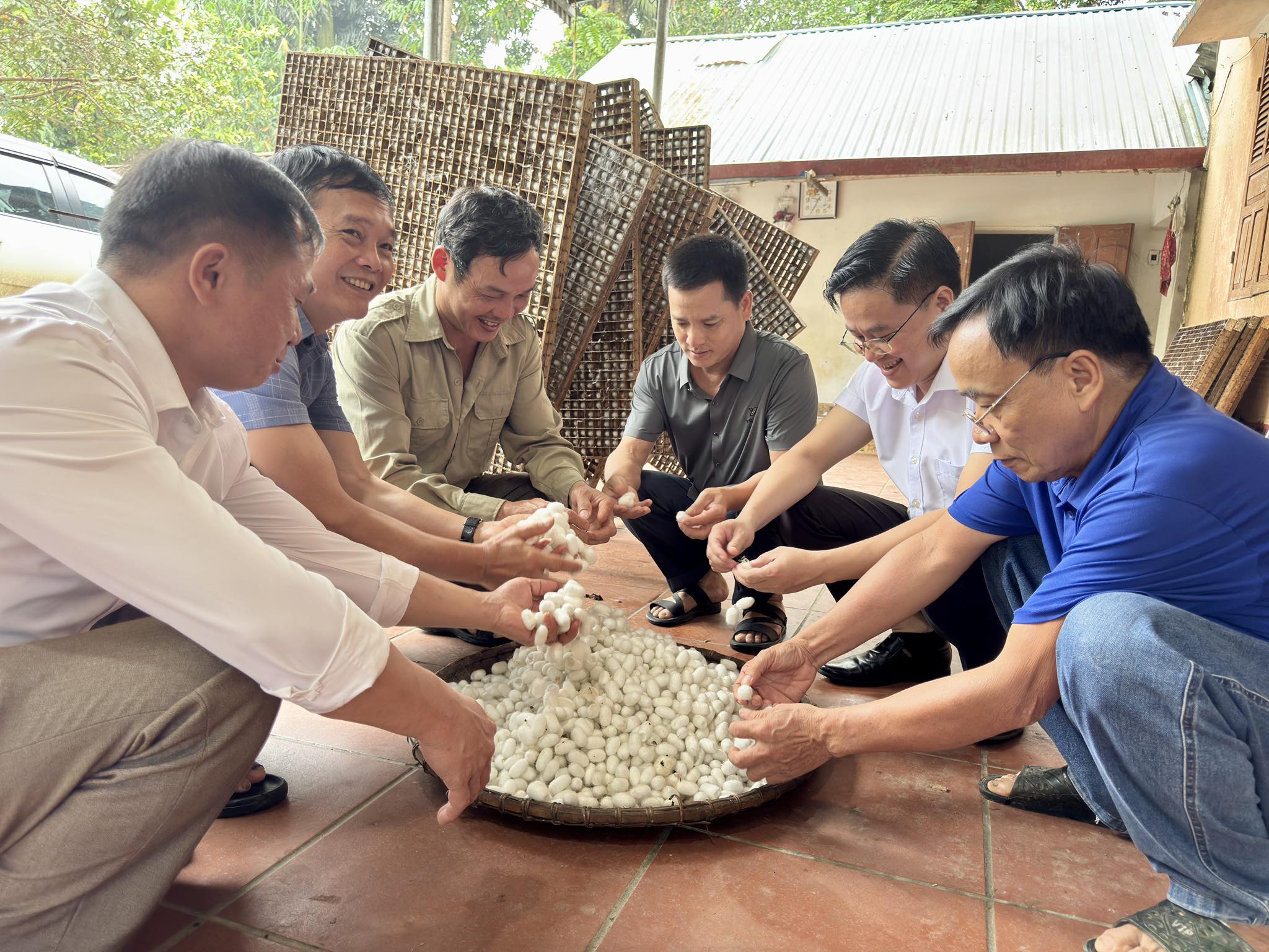 Mô hình trồng dâu nuôi tằm trên địa bàn xã Yên Nguyên