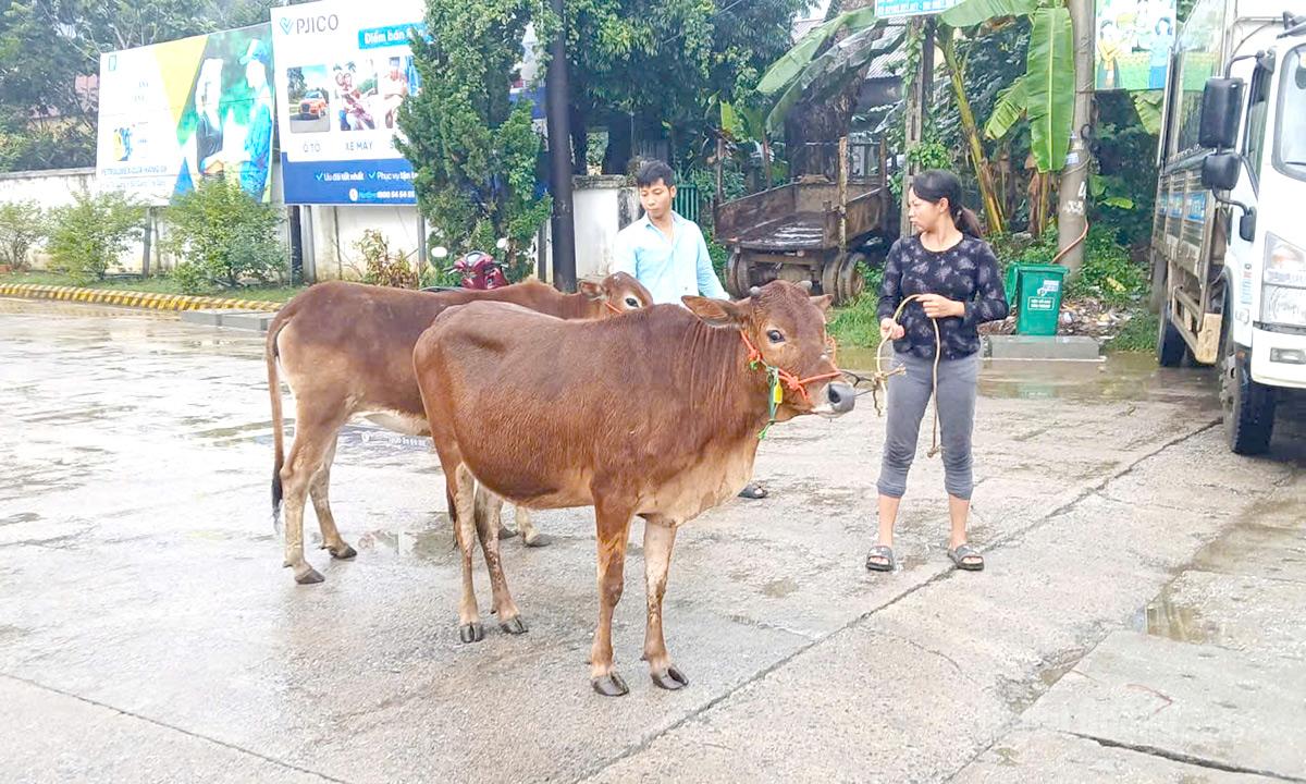 Tuyên Quang được bổ sung hơn 620,8 tỷ đồng vốn ngân sách Trung ương thực hiện các Chương trình mục tiêu quốc gia