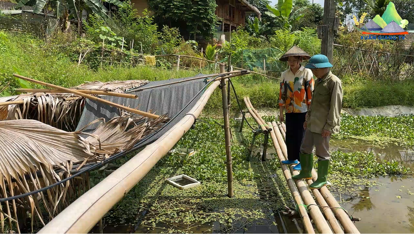 TRƯỞNG THÔN HOÀNG VĂN GIÁM - GƯƠNG MẪU ĐI ĐẦU TRONG PHÁT TRIỂN KINH TẾ