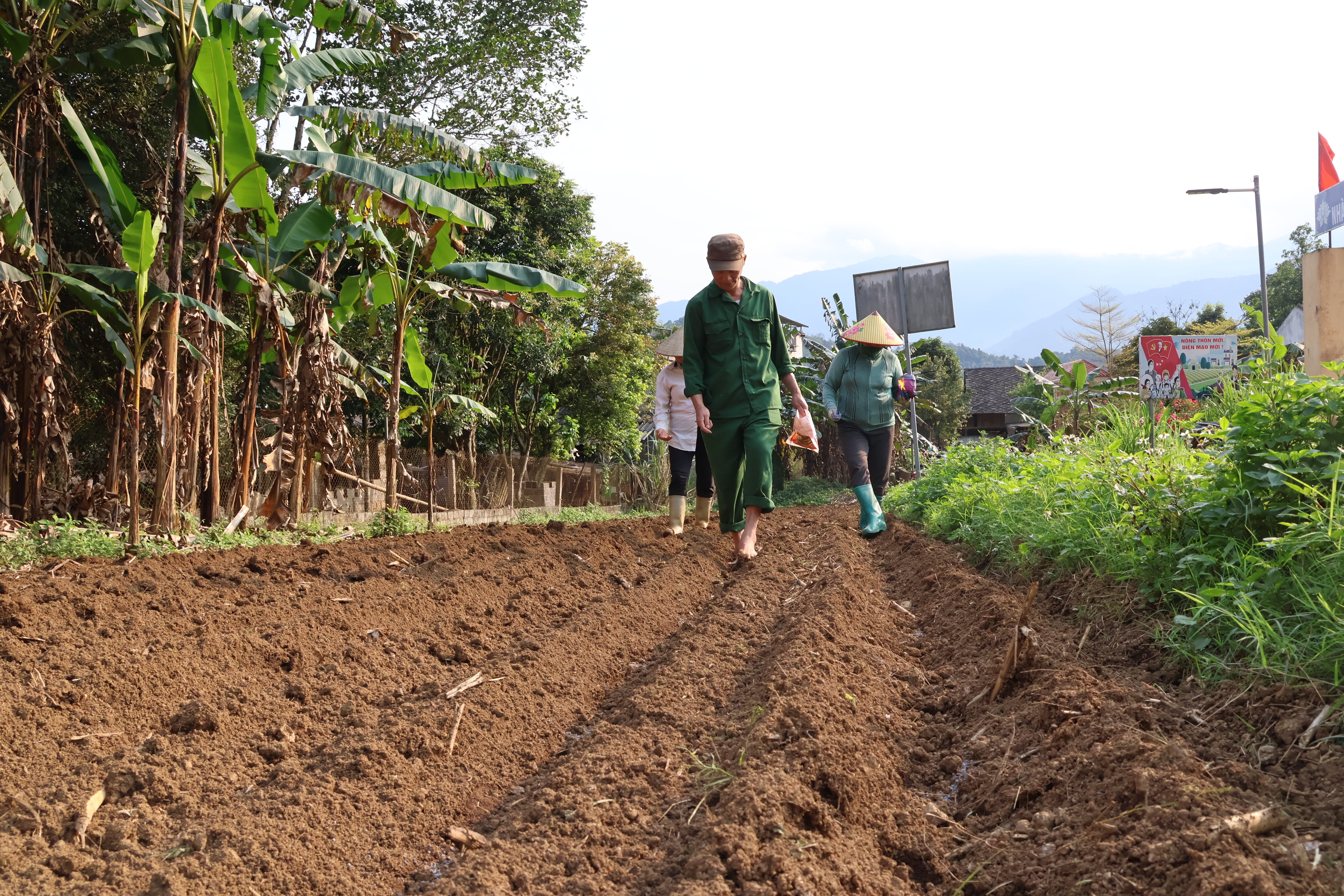 Bà con nhân dân khu vực Phong Quang, phường Hà Giang 2 tích cực xuống giống vụ ngô Xuân Hè năm 2026.