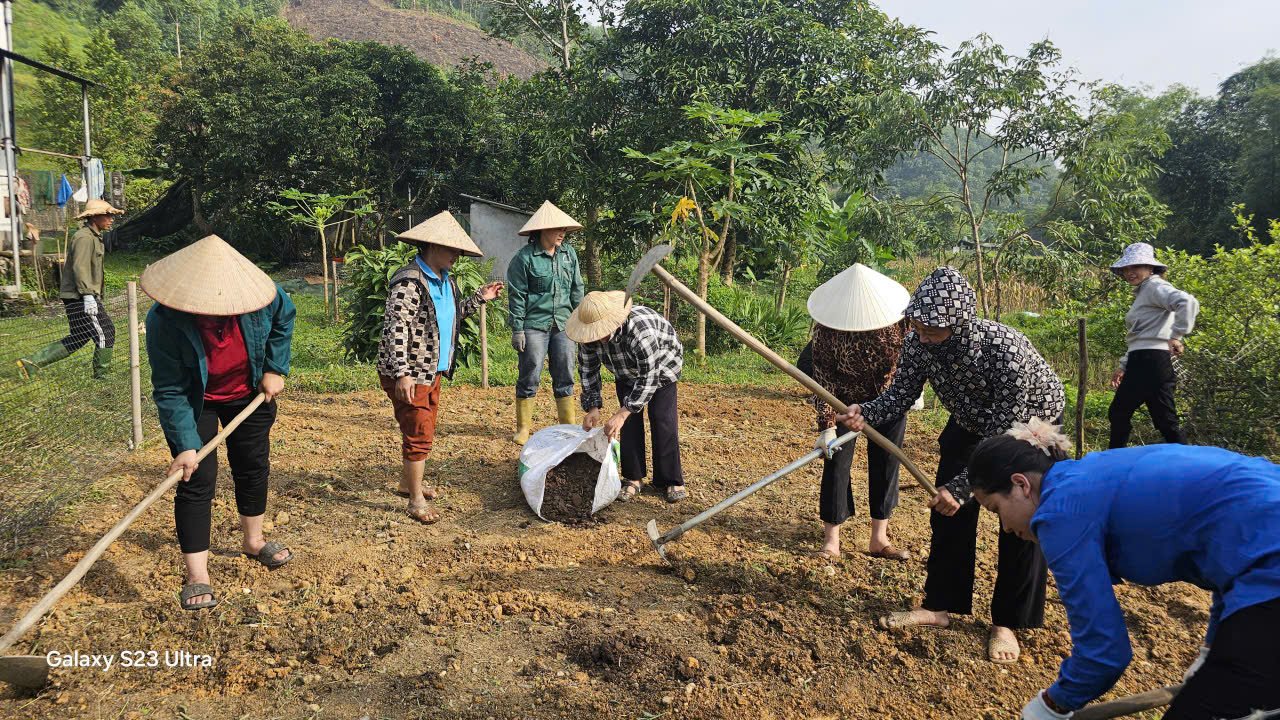 Mặt trận Tổ quốc xã Linh Hồ hỗ trợ hội viên cải tạo vườn tạp