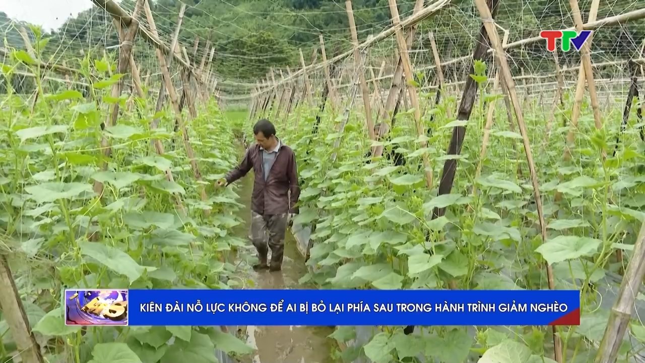 37bbe1129e7e7275f78858b7ee9c40ca