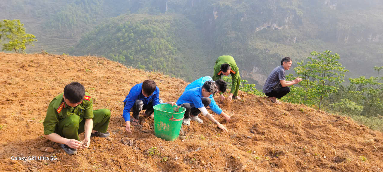 SẮC PHỤC XANH TRÊN NƯƠNG