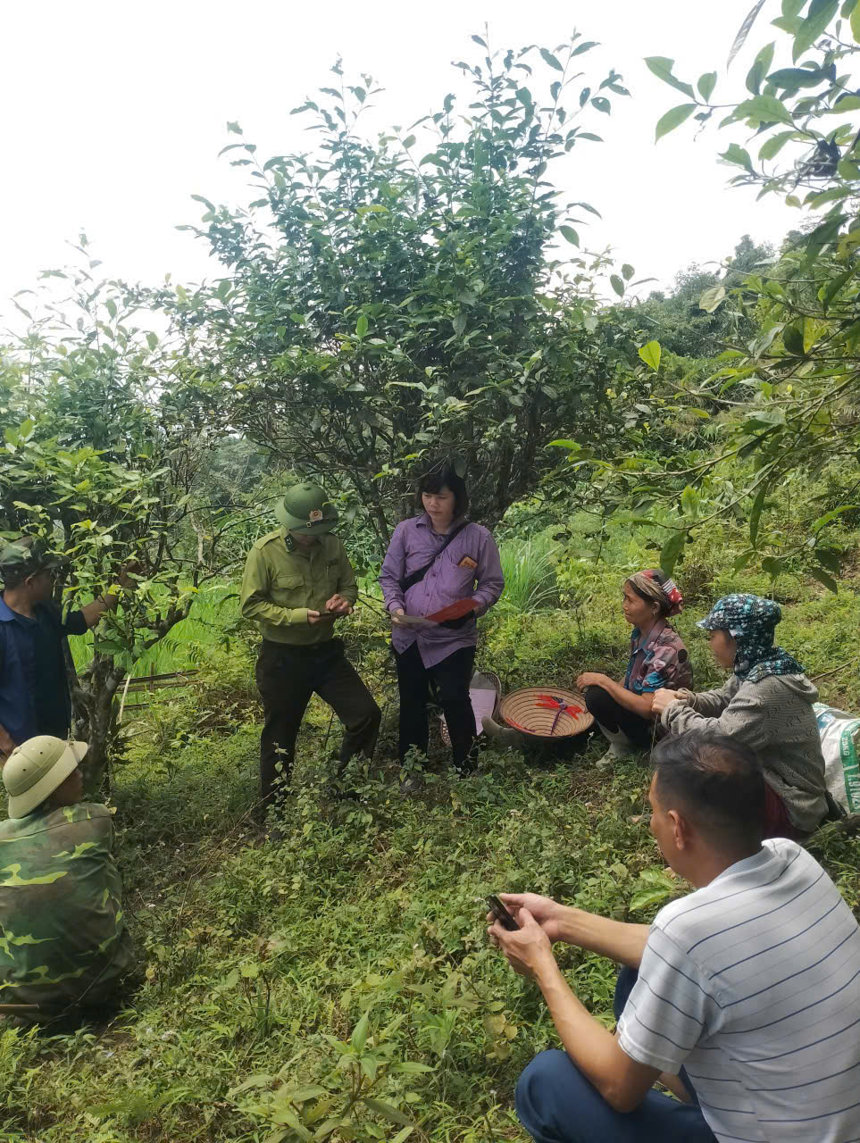 Rà soát, xác định ranh giới đất vườn rừng bảo đảm quyền lợi cho người dân