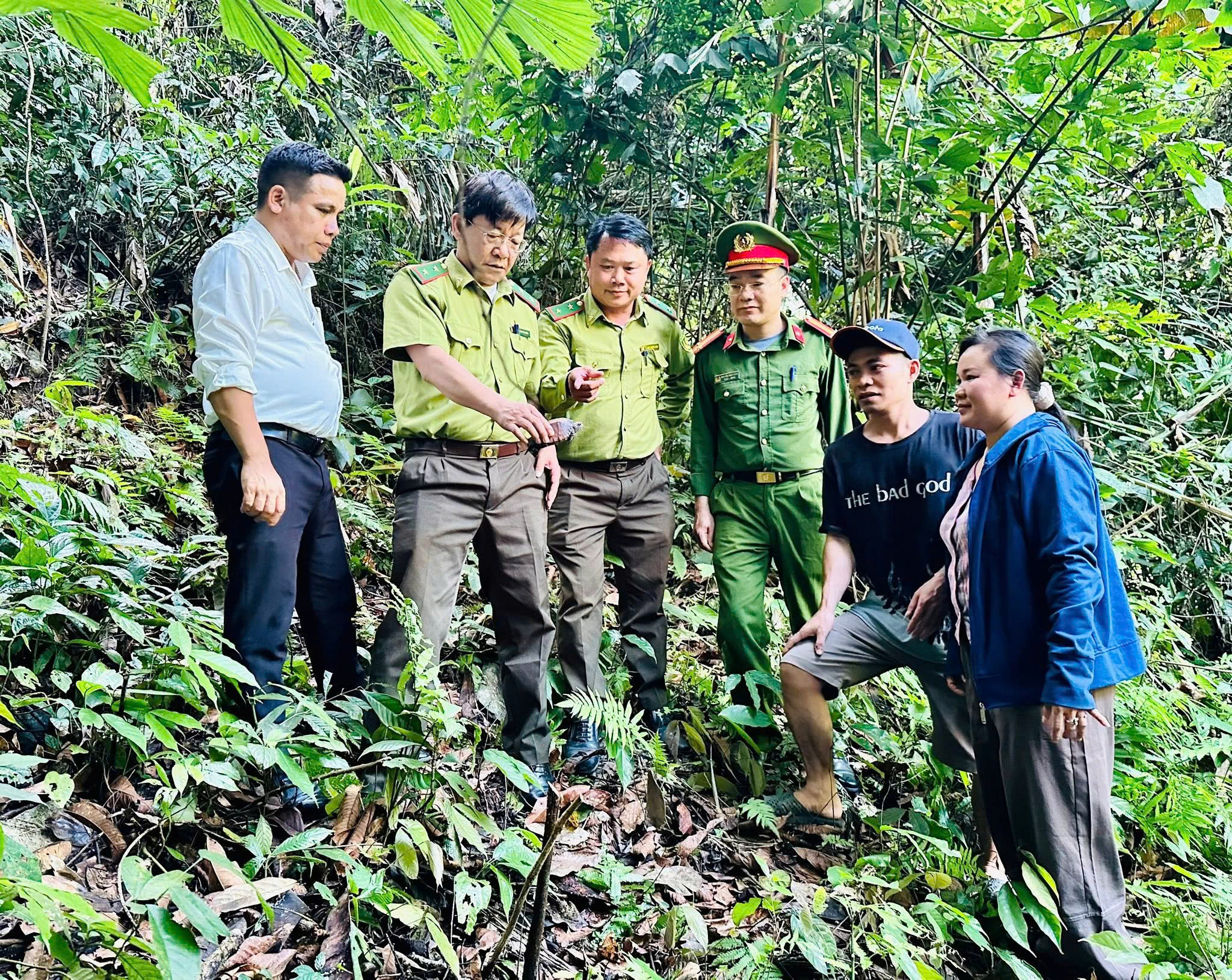 THẢ CÁ THỂ RÙA SA NHÂN QUÝ HIẾM VỀ MÔI TRƯỜNG 