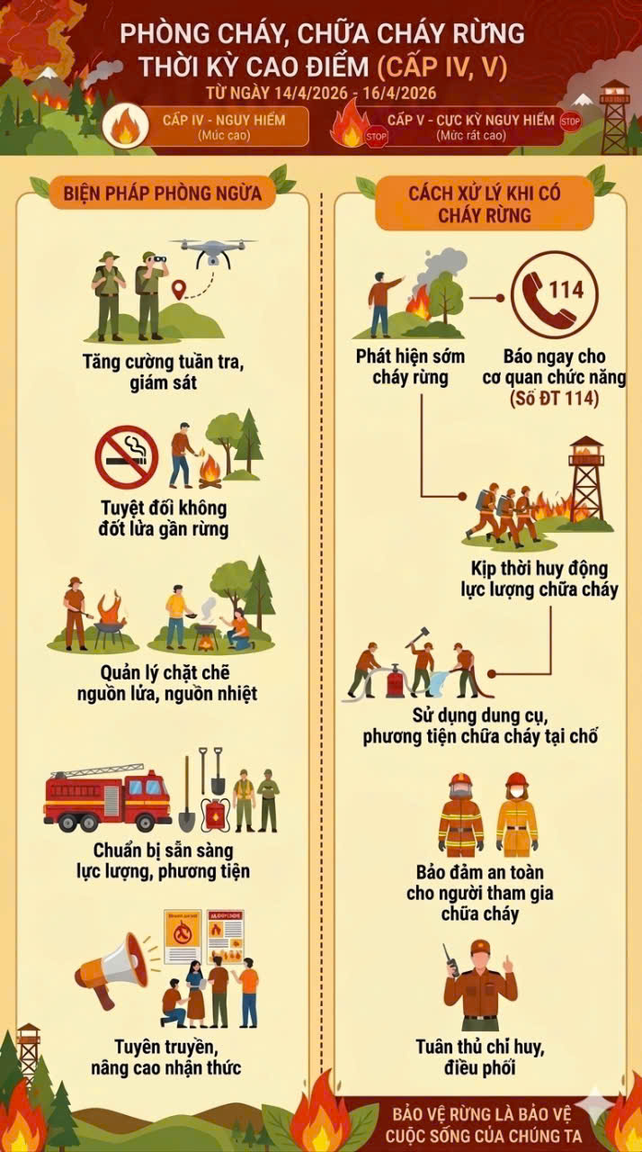 PHÒNG CHÁY, CHỮA CHÁY RỪNG THỜI KỲ CAO ĐIỂM 