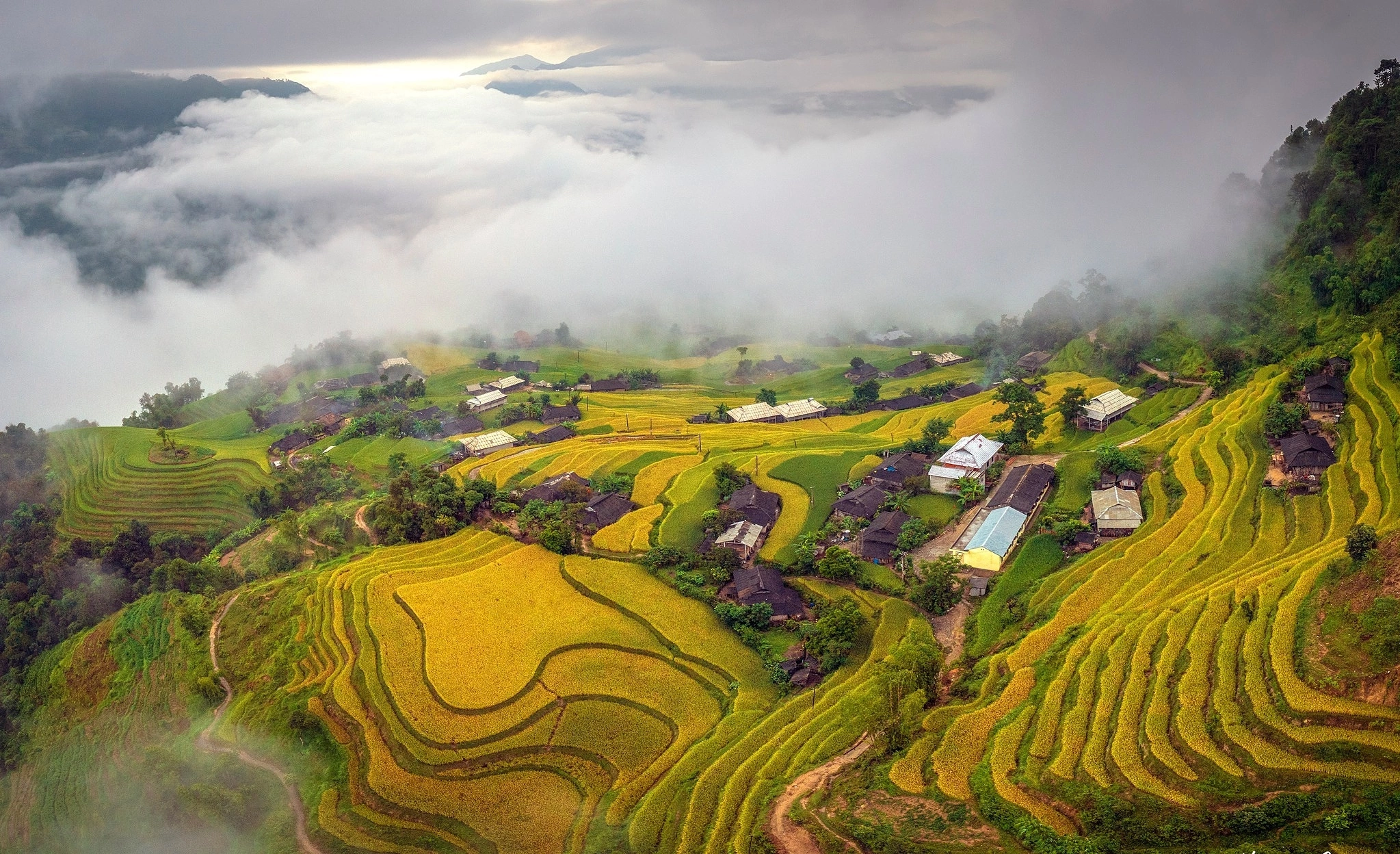 Ngắm ruộng bậc thang vào độ chín vàng ở Hoàng Su Phì