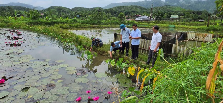 Đoàn khảo sát của Thường trực HĐND xã Bắc Quang làm việc tại thôn Bảo Thắng