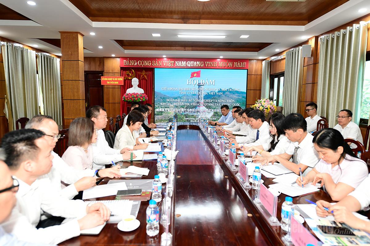 Đẩy mạnh hợp tác phát triển ngành Chè giữa Tỉnh Tuyên Quang với tỉnh Quảng Tây (Trung Quốc)